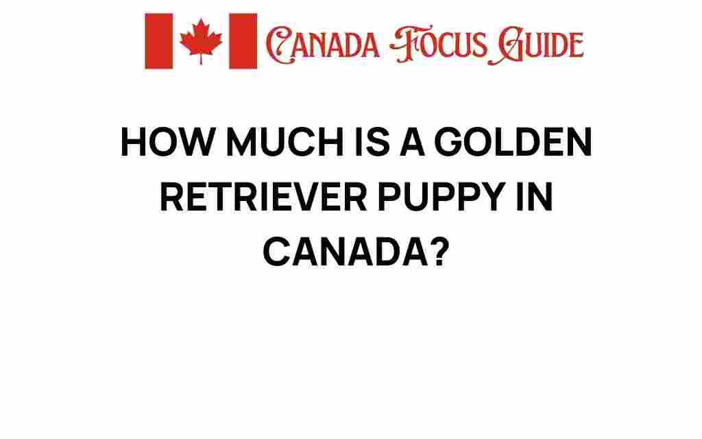 how-much-is-a-golden-retriever-puppy-canada