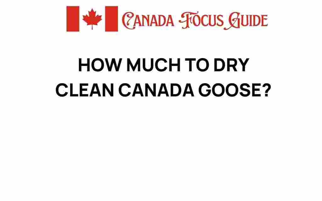 dry-clean-canada-goose-cost
